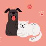 pet scam ftc graphic